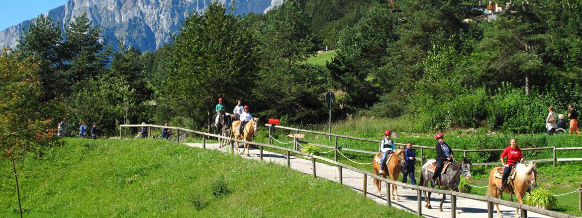Da 50 anni costruiamo e vendiamo in zona